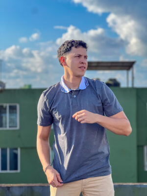 Camiseta Polo Gris